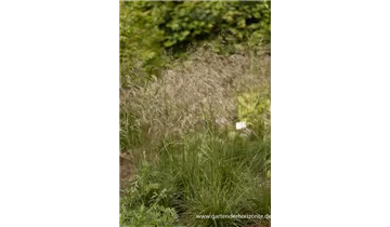 Gartenbaumschule Becker