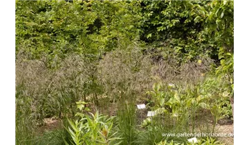 Gartenbaumschule Becker