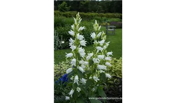 Gartenbaumschule Becker
