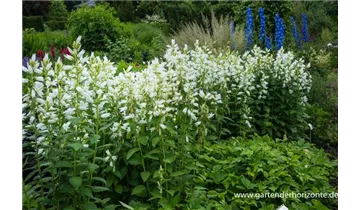 Gartenbaumschule Becker