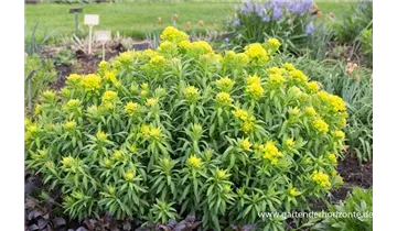 Gartenbaumschule Becker