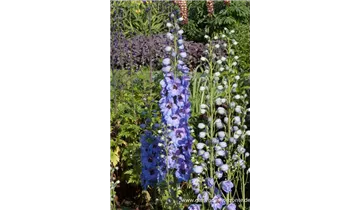 Gartenbaumschule Becker