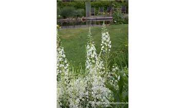 Gartenbaumschule Becker