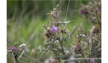 Gartenbaumschule Becker