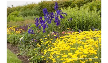 Gartenbaumschule Becker