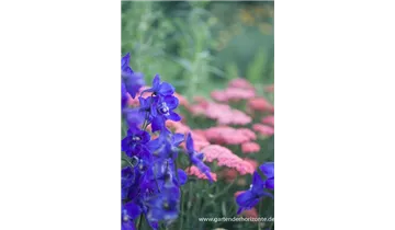 Gartenbaumschule Becker