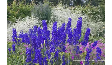 Gartenbaumschule Becker