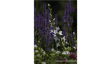 Gartenbaumschule Becker