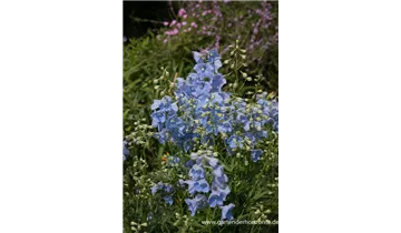 Gartenbaumschule Becker