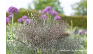 Gartenbaumschule Becker