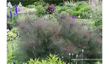 Gartenbaumschule Becker