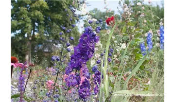 Gartenbaumschule Becker