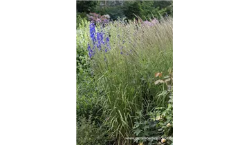 Gartenbaumschule Becker