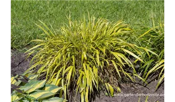 Gartenbaumschule Becker