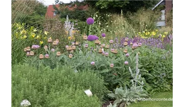 Gartenbaumschule Becker