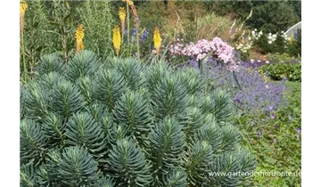Gartenbaumschule Becker