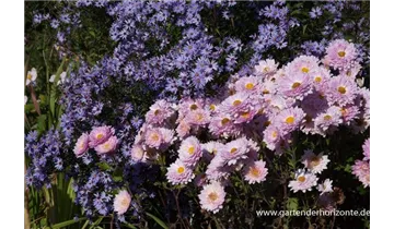 Gartenbaumschule Becker