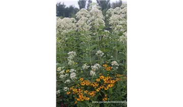 Gartenbaumschule Becker