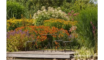 Gartenbaumschule Becker