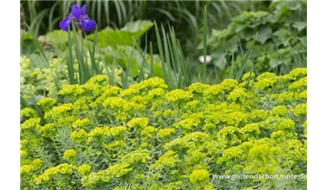 Gartenbaumschule Becker