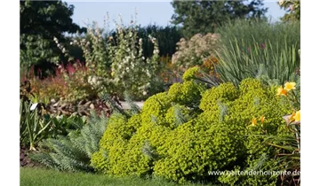 Gartenbaumschule Becker