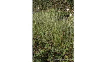 Gartenbaumschule Becker