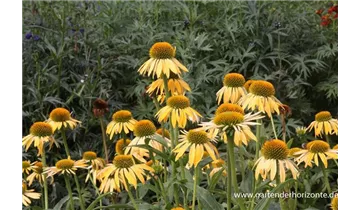 Gartenbaumschule Becker