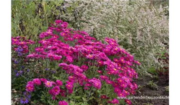 Gartenbaumschule Becker