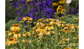 Gartenbaumschule Becker