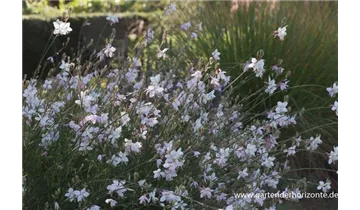 Gartenbaumschule Becker