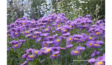 Gartenbaumschule Becker