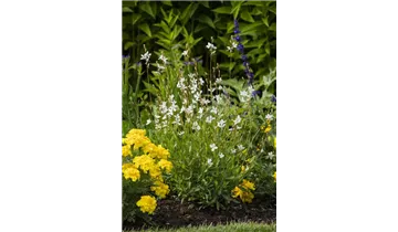 Gartenbaumschule Becker