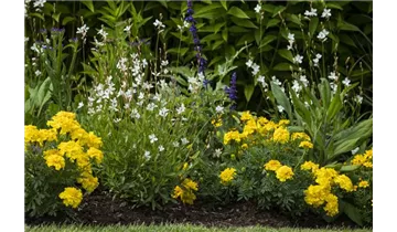 Gartenbaumschule Becker