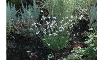 Gartenbaumschule Becker