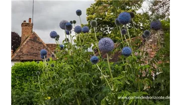 Gartenbaumschule Becker