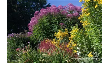 Gartenbaumschule Becker
