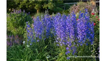 Gartenbaumschule Becker