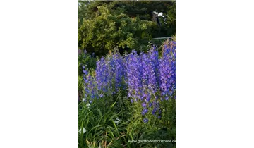 Gartenbaumschule Becker