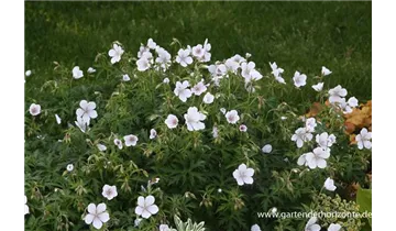 Gartenbaumschule Becker