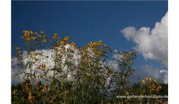 Gartenbaumschule Becker