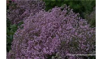 Gartenbaumschule Becker