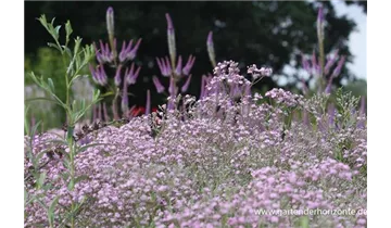Gartenbaumschule Becker