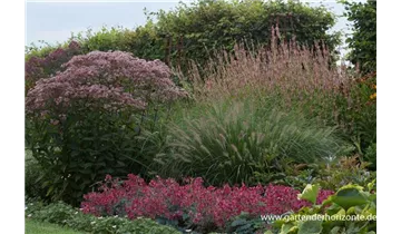 Gartenbaumschule Becker