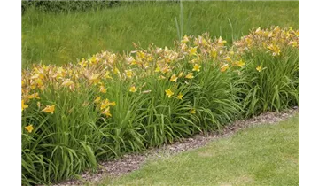 Gartenbaumschule Becker