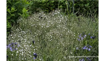 Gartenbaumschule Becker