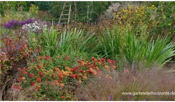 Gartenbaumschule Becker