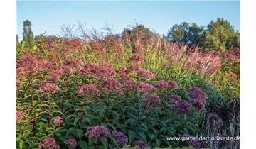 Gartenbaumschule Becker