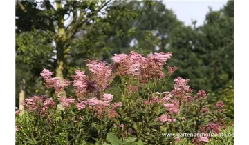 Gartenbaumschule Becker