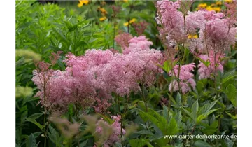 Gartenbaumschule Becker