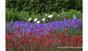 Gartenbaumschule Becker